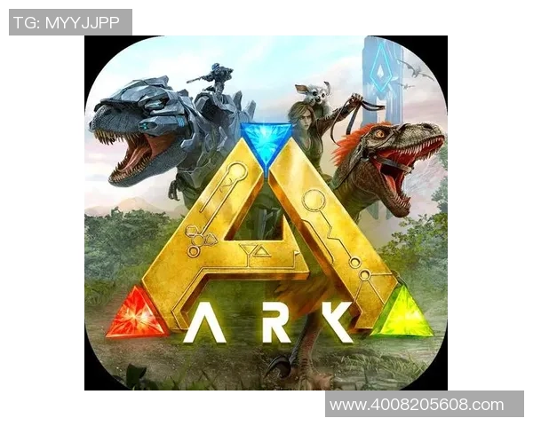 探索非凡体验的无限精彩之旅，开启属于你的独特冒险与发现