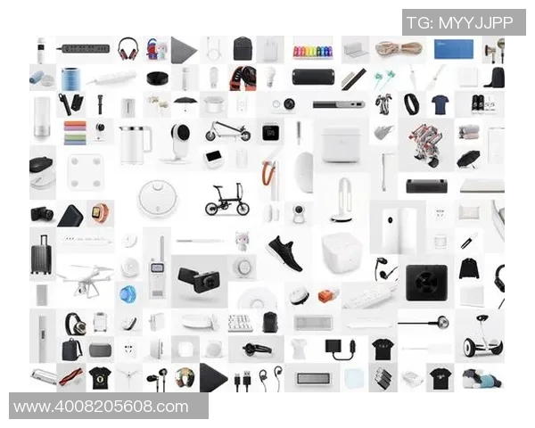 红桃国际用户支持工具集全新升级助力用户体验提升与问题解决