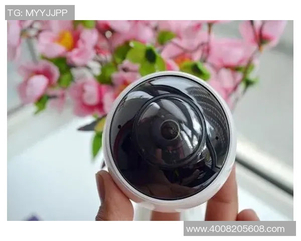 非凡娱乐系统监控全景解析与优化策略探讨