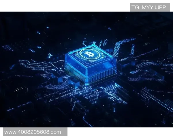 探索豪门国际量子计算平台的未来发展与应用前景分析